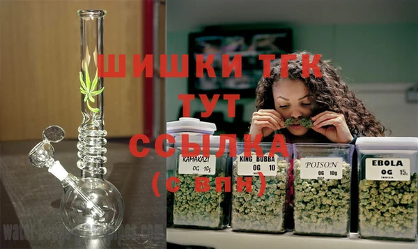 соль ск Новосибирск