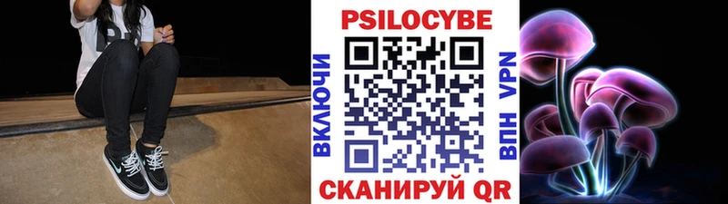 Купить Советская Гавань Псилоцибиновые грибы Cubensis